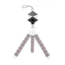 Load image into Gallery viewer, Datacolor Spyder Cube and Spyder Tripod Bundle