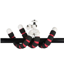 Load image into Gallery viewer, Datacolor Spyder Cube and Spyder Tripod Bundle